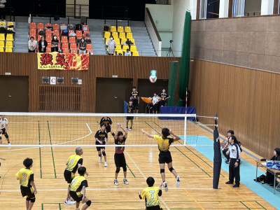 volley (8)