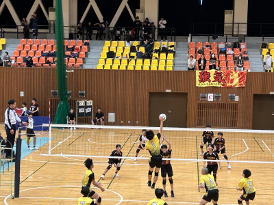 volley (6)