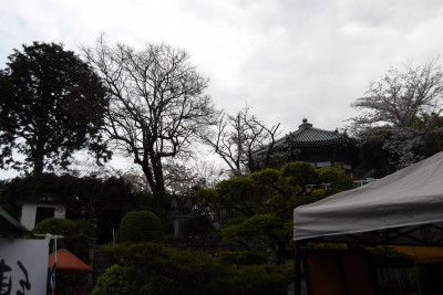 IMGP0737
