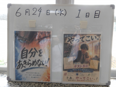 IMGP1598