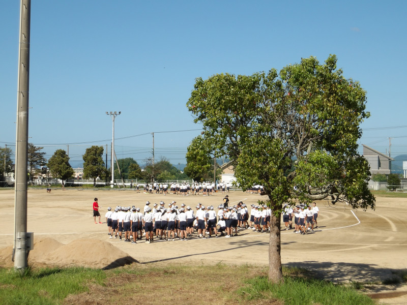 IMGP0292
