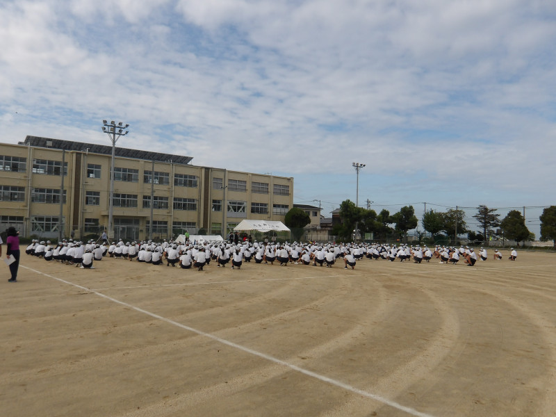 IMGP0230
