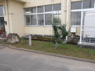 IMGP0686